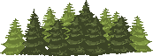 an image of pine trees